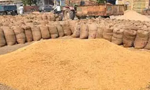 Govt raises MSP for paddy to Rs 2,300 per quintal
