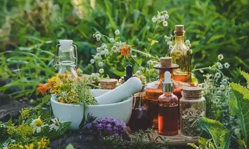 Unique medicinal plants garden  taking shape at Aziz Nagar