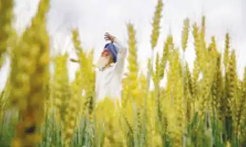 Dallewal calls MSP hike ‘meagre’, demands legal guarantee