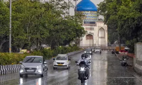 IMD forecasts light rain for northern states, heavy rain for south