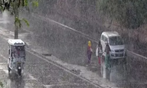 Monsoon picks up momentum, Kharif sowing expected to speed up