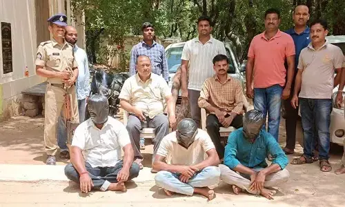 Task force personnel producing three red sanders smugglers before the media in Tirupati on Sunday