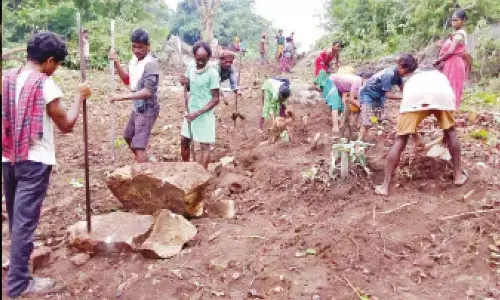 Tribals constructing road
