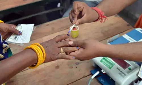 15 candidates in fray for Himachal bypolls to three Assembly seats