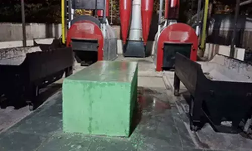 First in Maha: BMC to accord ‘eco-friendly’ send-off to the departed in 10 crematoria