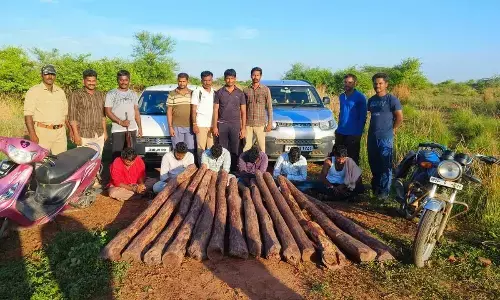 Task force personnel producing six red sanders smugglers before the media in Tirupati on Tuesday