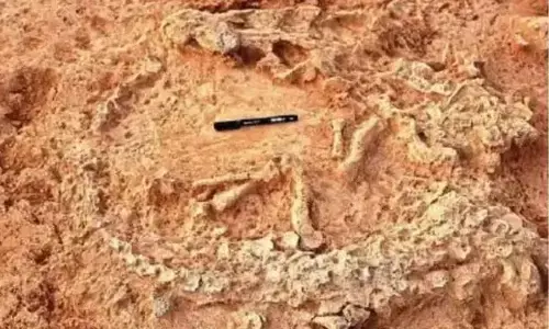 Oldest Ostrich nest in Andhra Pradesh Found