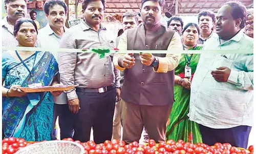 Tomato to be sold at Rs 50 a kg