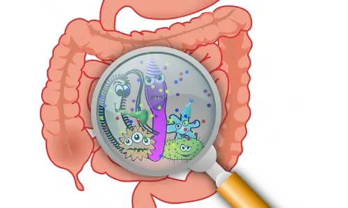 Blame a gut bacteria for your compulsive eating, obesity