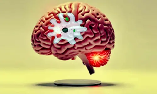 Know all about brain-eating amoeba infection that claimed two lives in Kerala