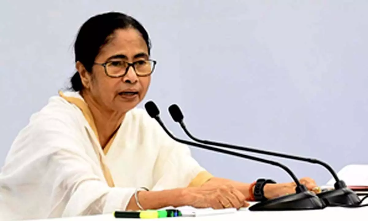 Bengal govt to formulate policy, identify new hawking zones