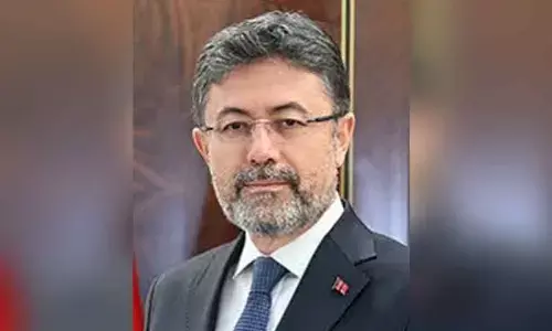 Wildfires in Turkey under control, arrests underway: Minister