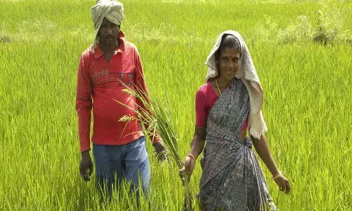 RBKs renamed as Rythu Seva Kendras