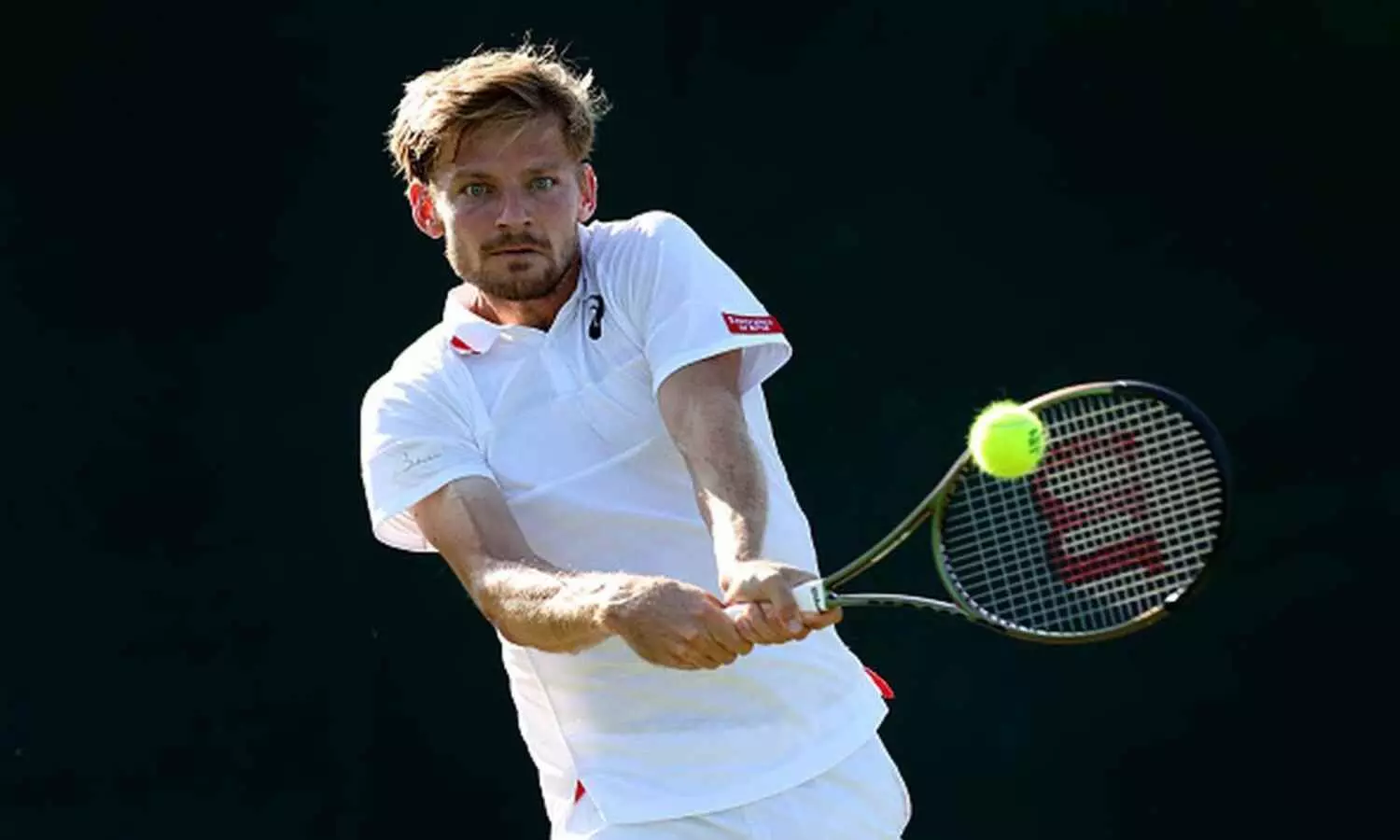 Wimbledon 2024: Andy Murray withdraws from singles, David Goffin gets entry into main draw