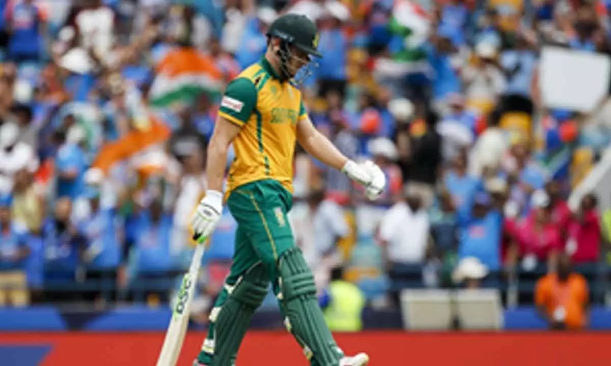 Gutted Miller proud of SA unit after T20 World Cup final loss