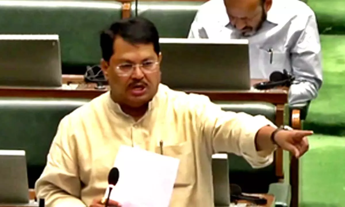 Budget presented with political objective: Maha LoP