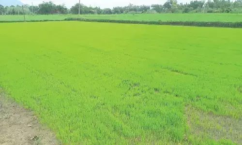 June showers abundant in district