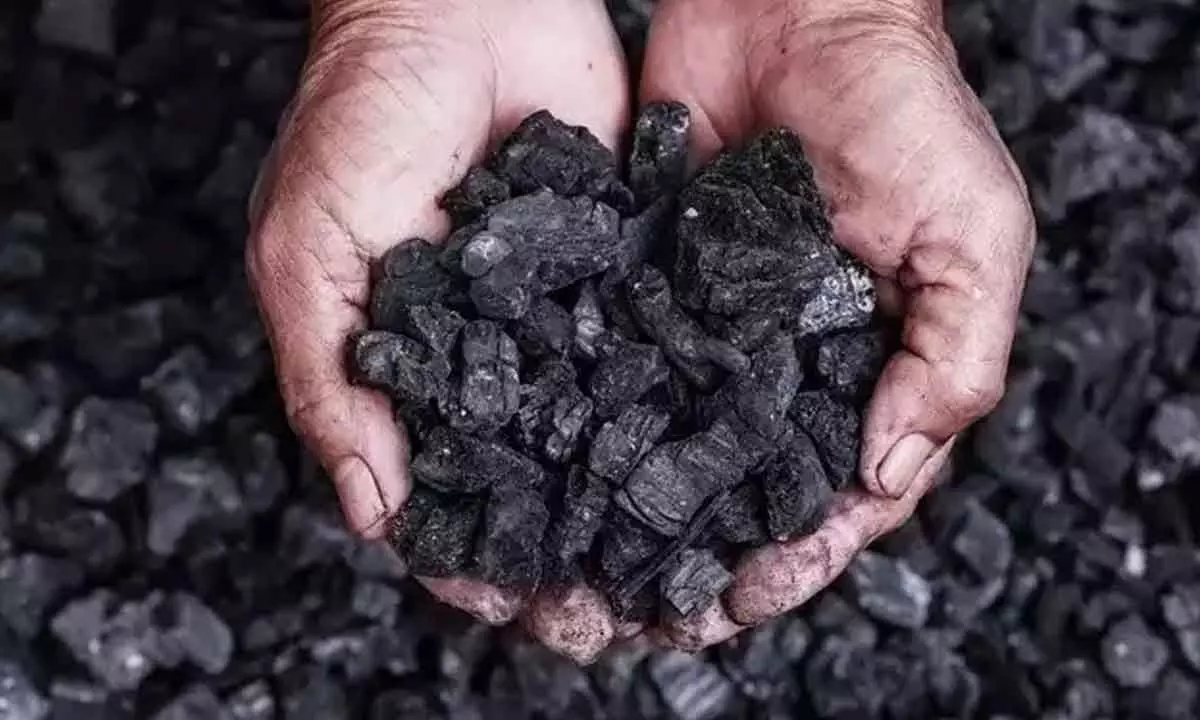 14% rise in coal production