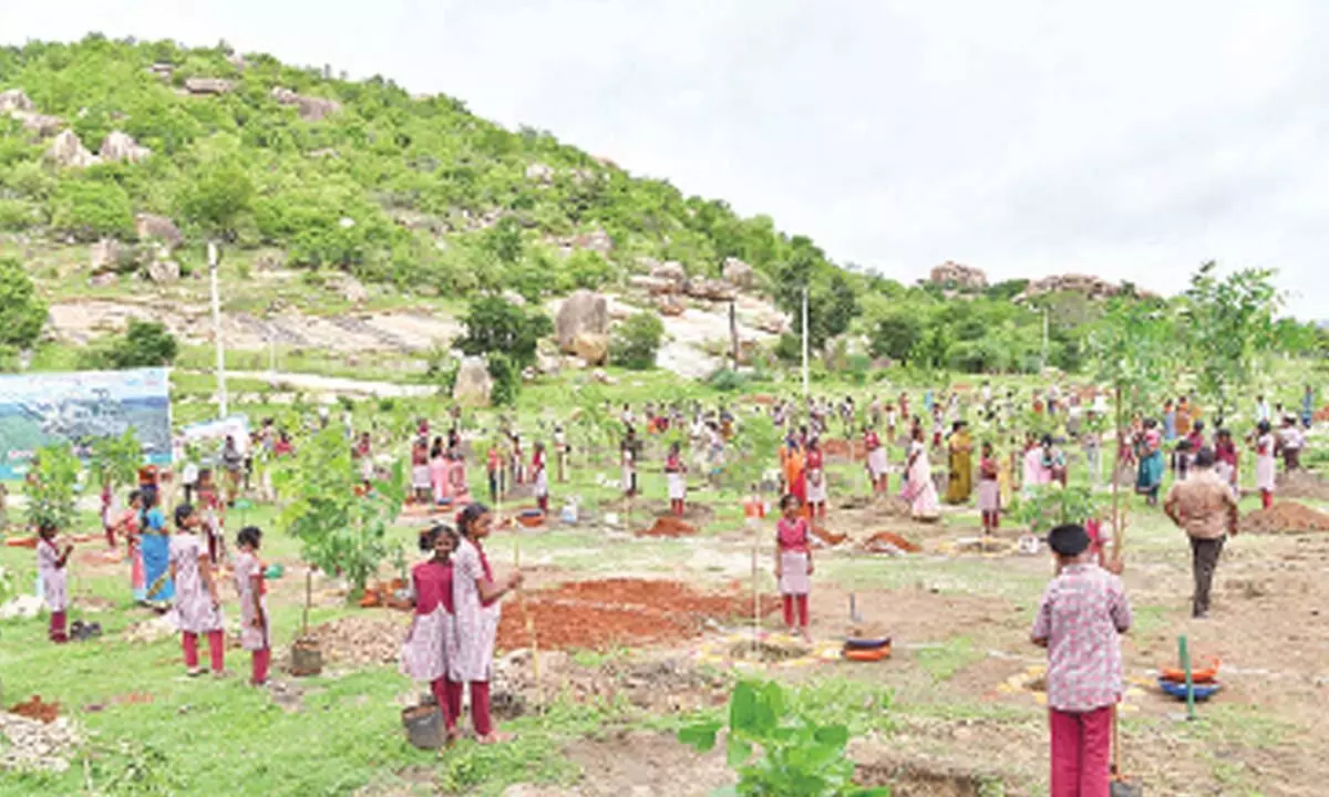 School students participating in Vanamahostavam progarmme in Manyamkonda on Tuesday
