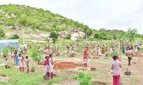 School students participating in Vanamahostavam progarmme in Manyamkonda on Tuesday
