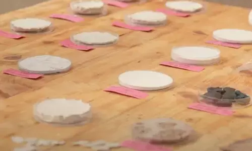 The Design Village  Students Shine at Biodesign Summit