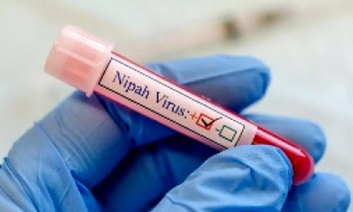 Nipah monoclonal antibody to undergo human trials in India, Bangladesh in 2025