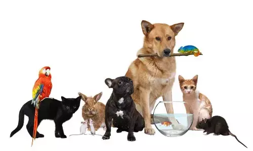 Stress busters at any age… any stage