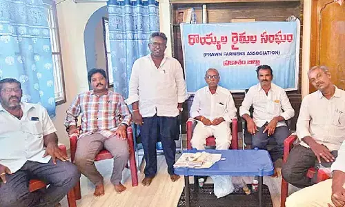 Govt urged to stop supply of substandard prawn seed