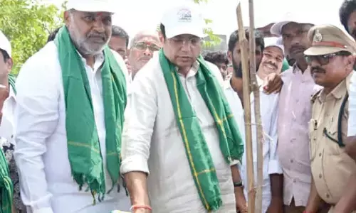 Sridhar Babu orders for audit of planted saplings