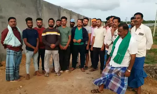 Controversy Surrounds the Proposed Pig Breeding Center