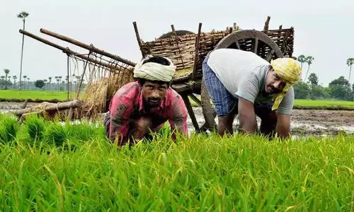 Repeal of AP Crop Cultivators Rights Act, 2019, sought