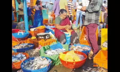 65-day monsoon fishing ban: ‘If you can’t have fish eat chicken’, say Coast meat sellers