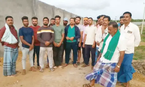 Controversy surrounds proposed pig breeding centre