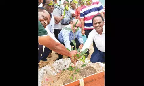 Students, faculty members to help spread green cover in IISER