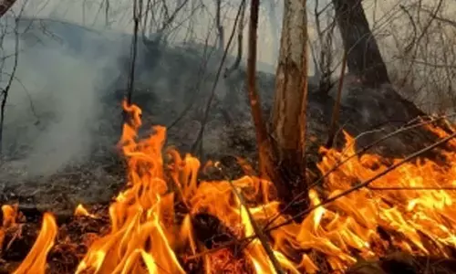 Over 28,000 under evacuation orders as fast-moving wildfire expands in California