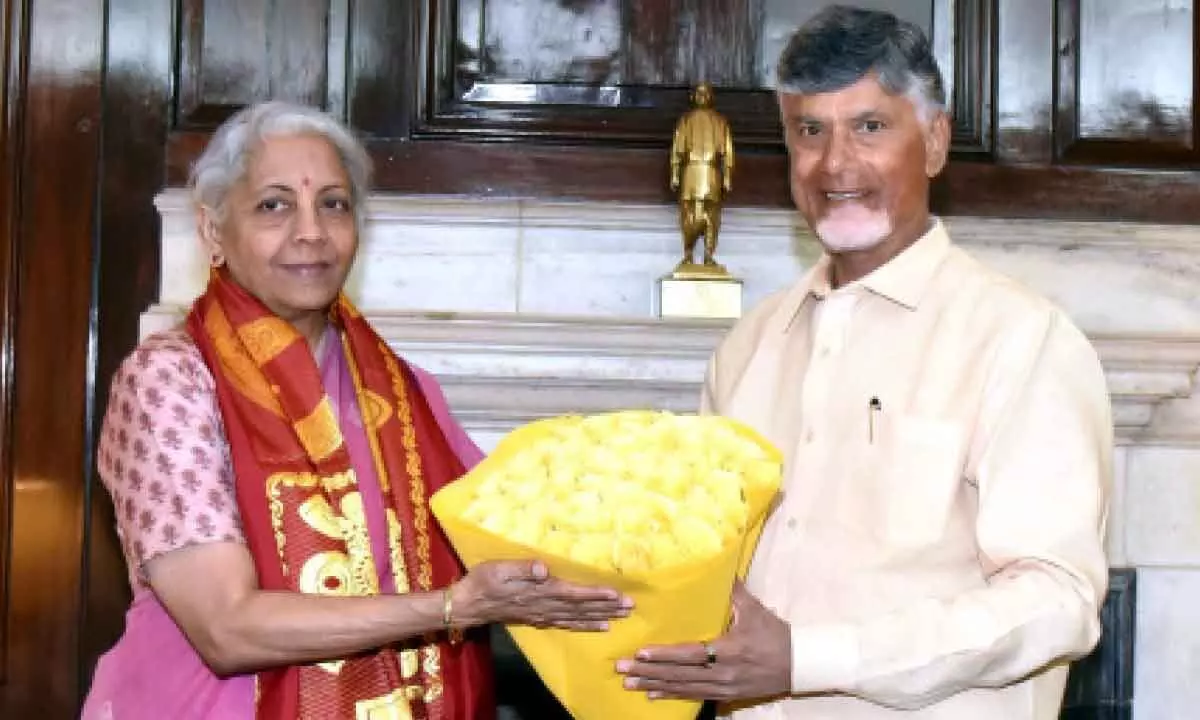 Andhra Pradesh Chief Minister N Chandrababu Naidu meets Union Finance Minister Nirmala Sitharaman during a meeting, in New Delhi on Friday