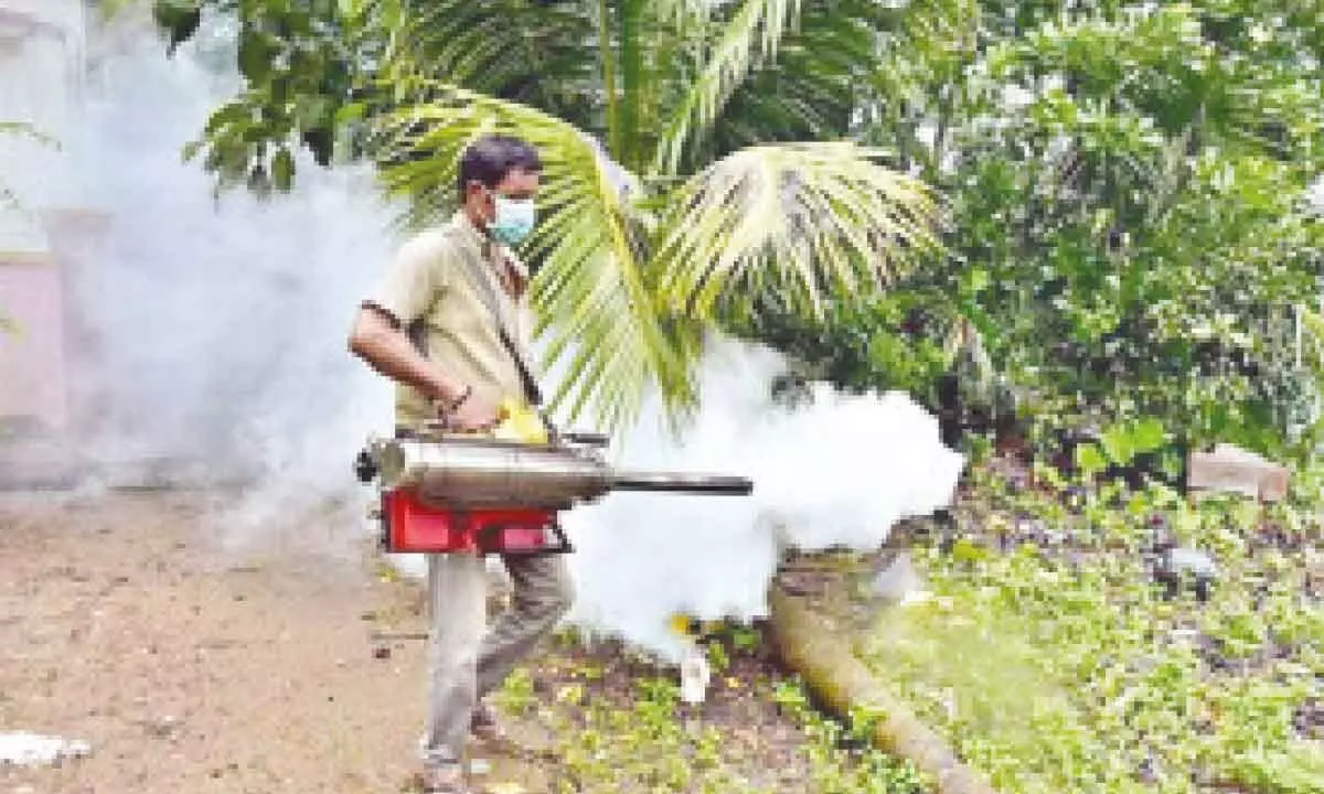 Mangaluru, Udupi witness surge in dengue cases