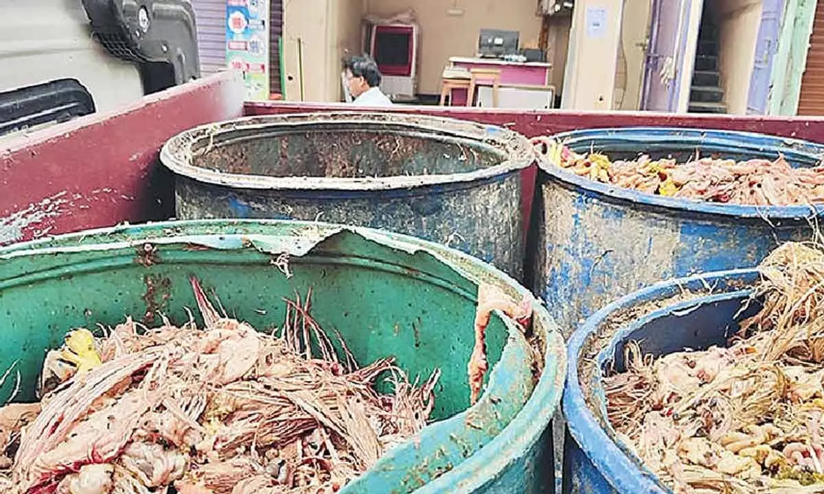 Chicken sellers making wealth from waste