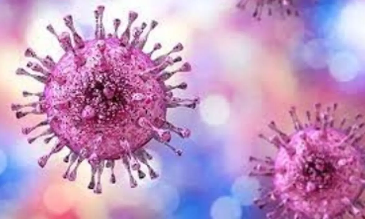 This symptomless herpes virus can harm newborns, organ transplant & HIV patients