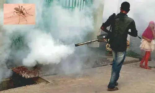 Now, GHMC amps up effort to swat mosquito-borne diseases