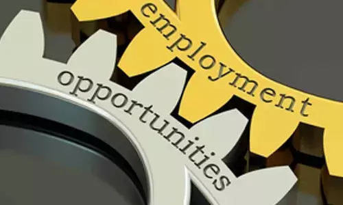 Private Companies to Report Job Vacancies Under New Employment Rules