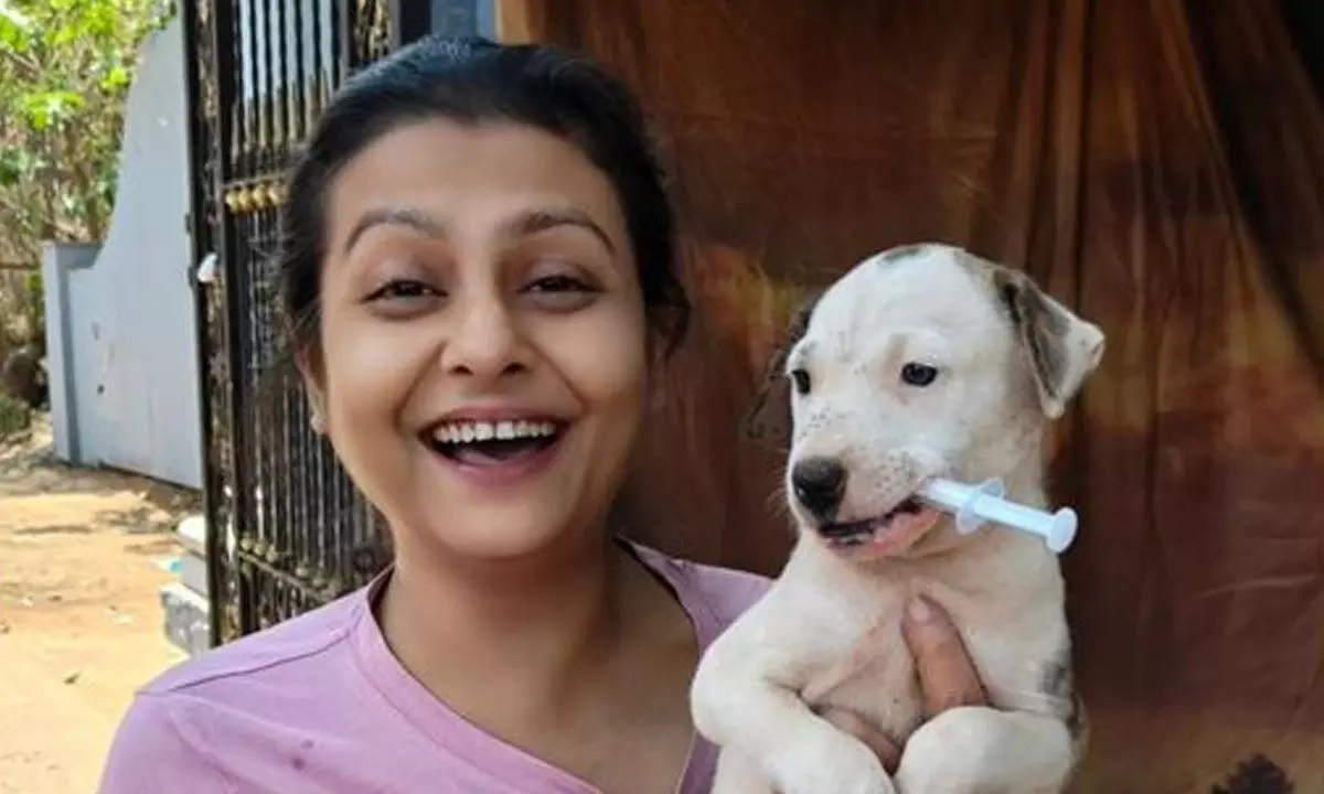 Jaya Bhattacharya’s dream project is to build a hospital for animals