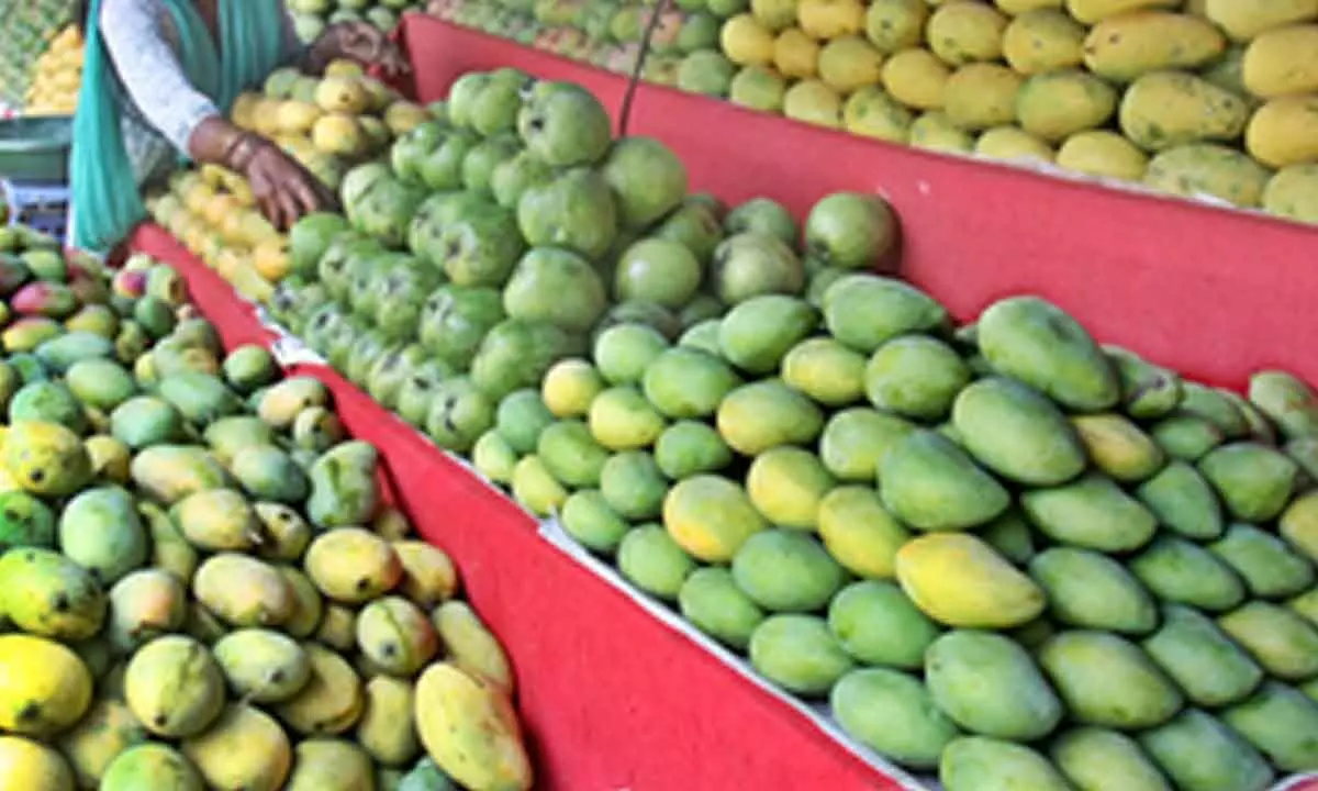 UP govt to boost mango export with higher yield and improved quality