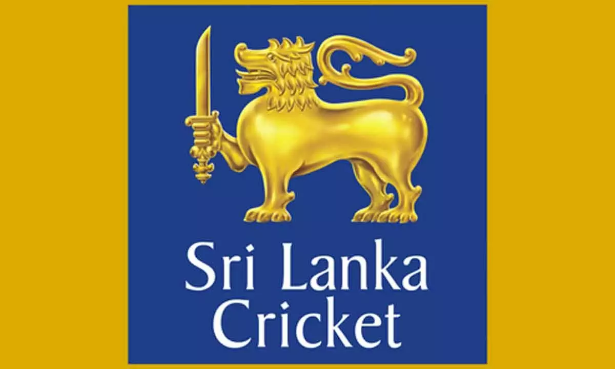 Sri Lanka Cricket deny allegations of drinks party inside team hotel during T20 World Cup