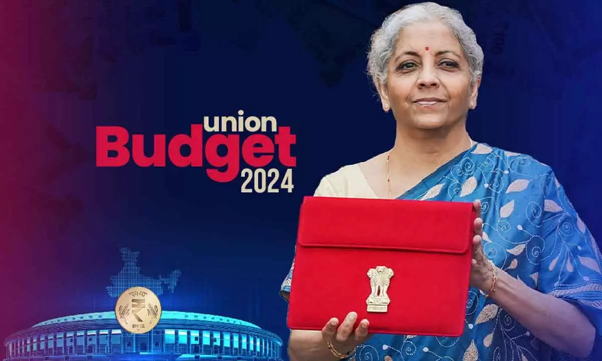 Will Union budget serves as precursor to Vikasit Bharat