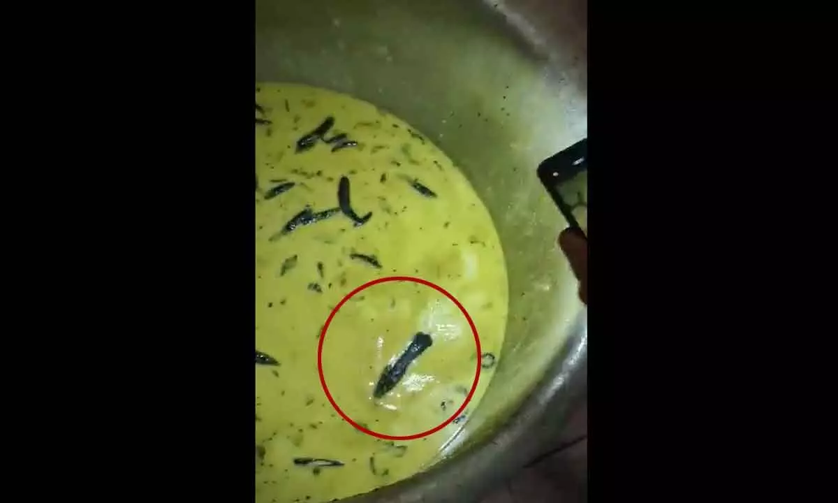 Hyderabad: Insects, rats in food enrage JNTUH Sultanpur students