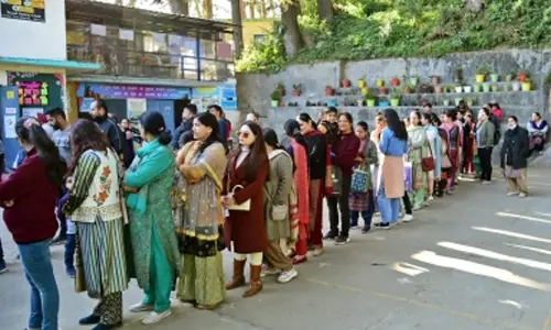 Three Himachal Assembly seats record 71 pc voting