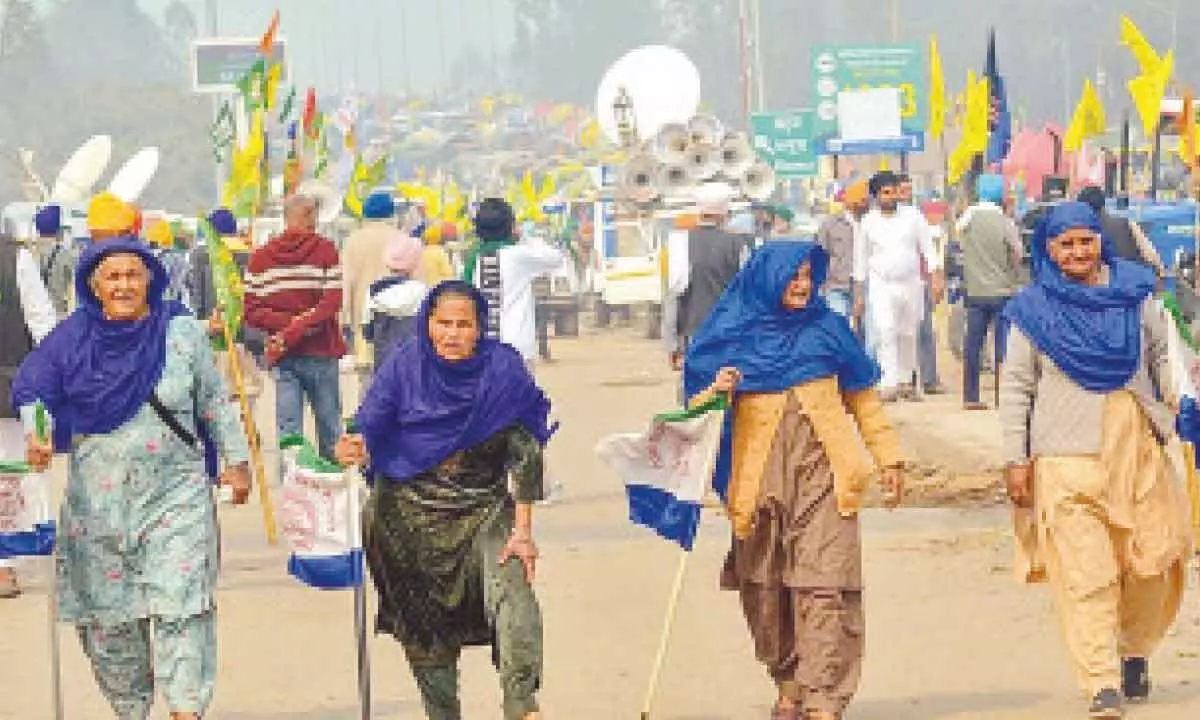 HC orders opening of Shambhu border within 7 days