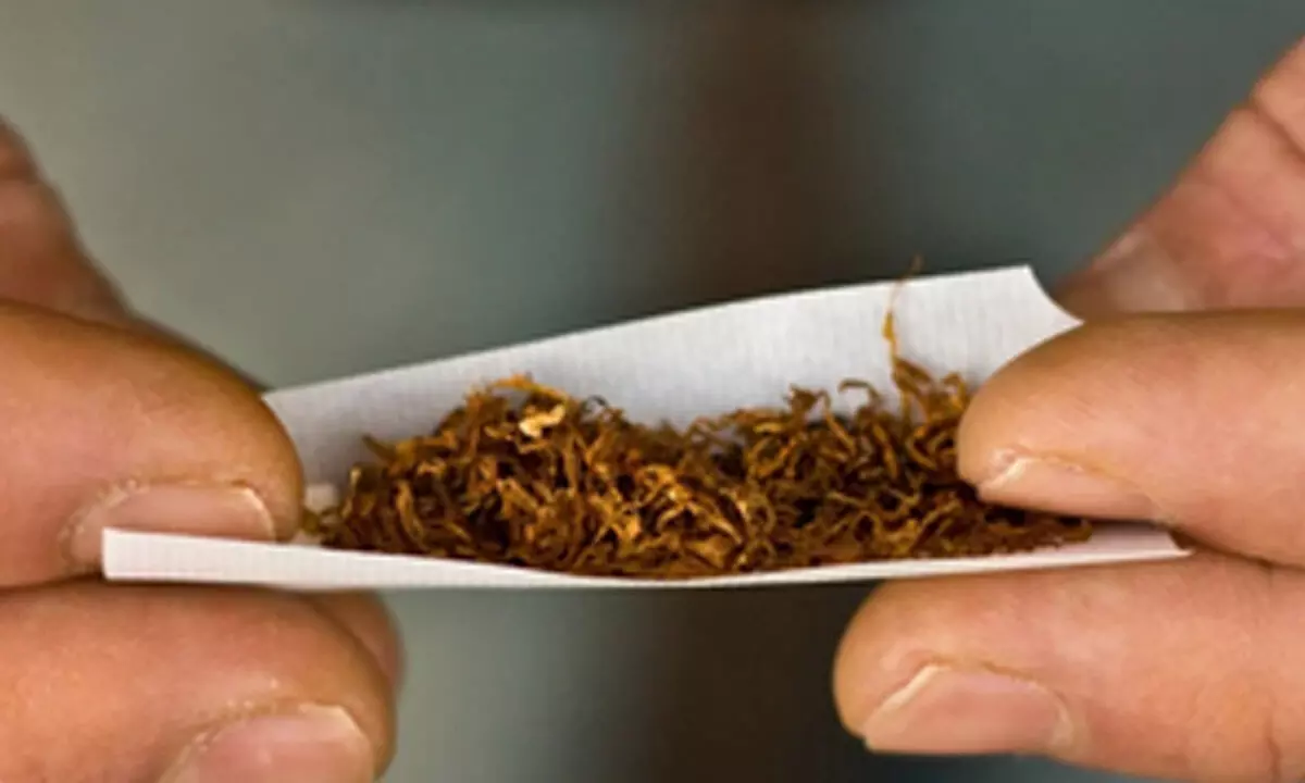 Singaporean authorities seize over 600 kg smokeless tobacco