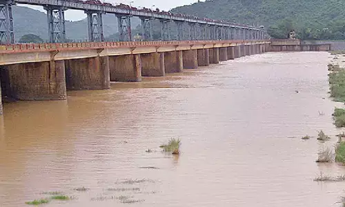 Gotta barrage cries for attention